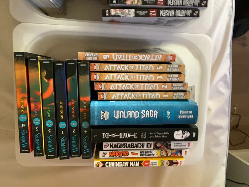 Large Manga and Young Adult Book Collection - photo 2