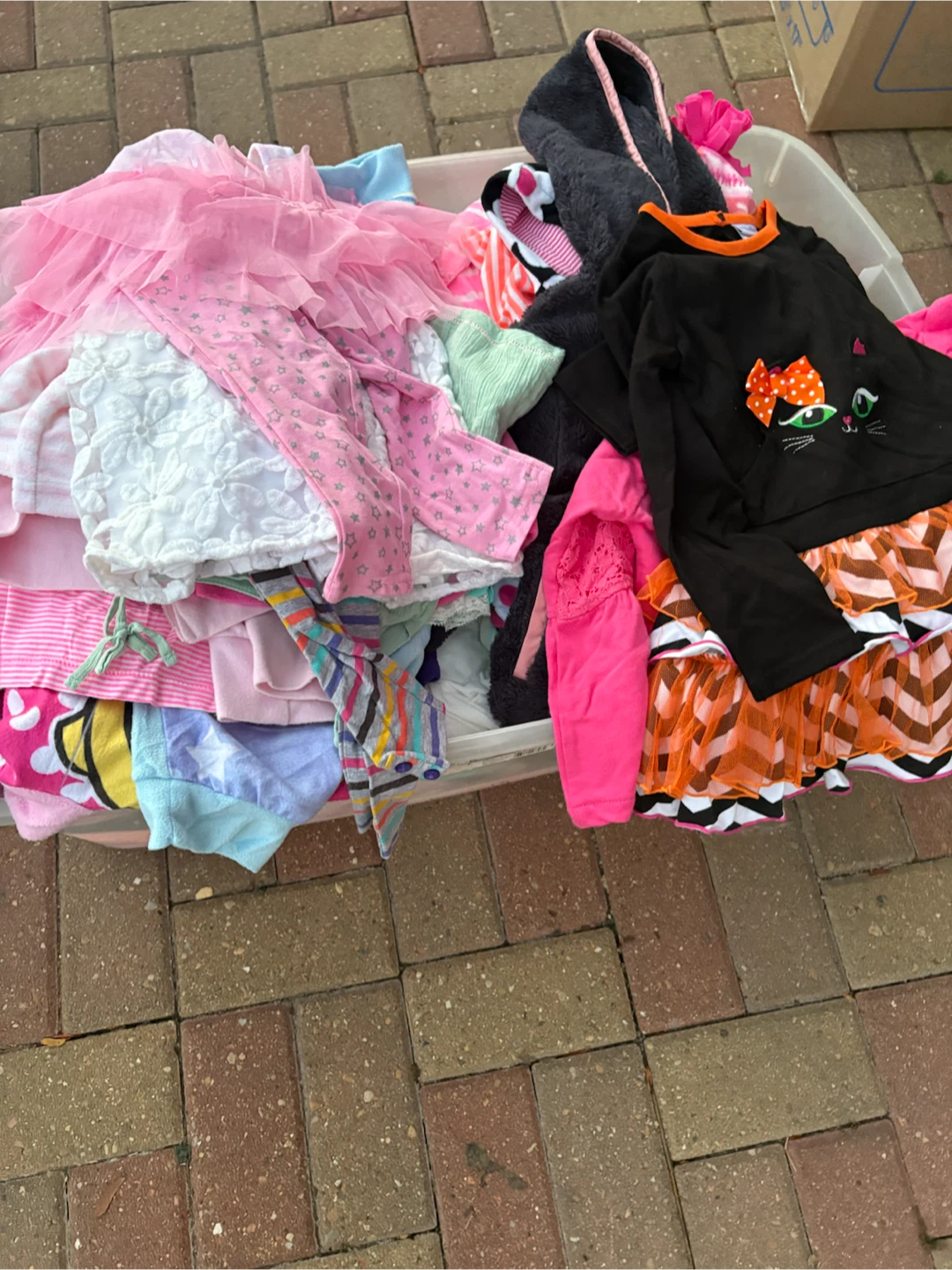 Toddler Girl Clothing Bundle in Storage Bin