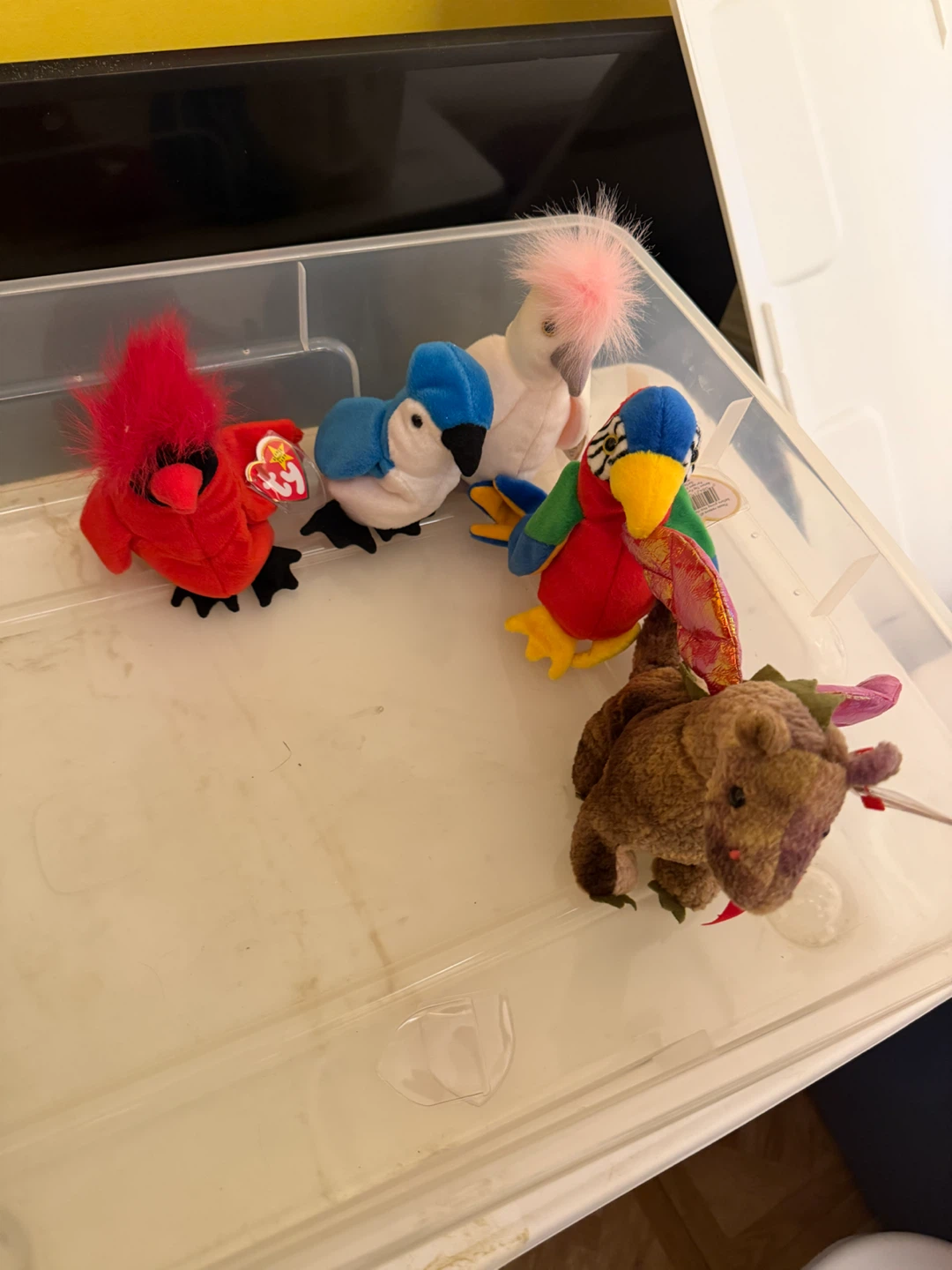 Large Collection of Ty Beanie Babies - photo 2