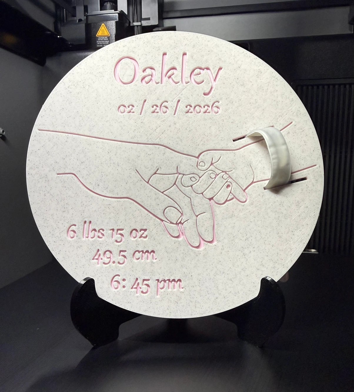 Newborn keepsake/ Announcement sign