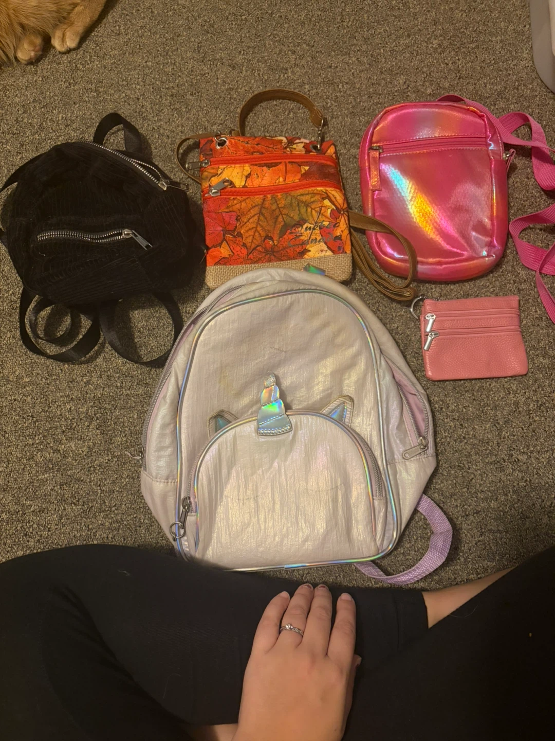 Assorted Handbags and Pouches Bundle