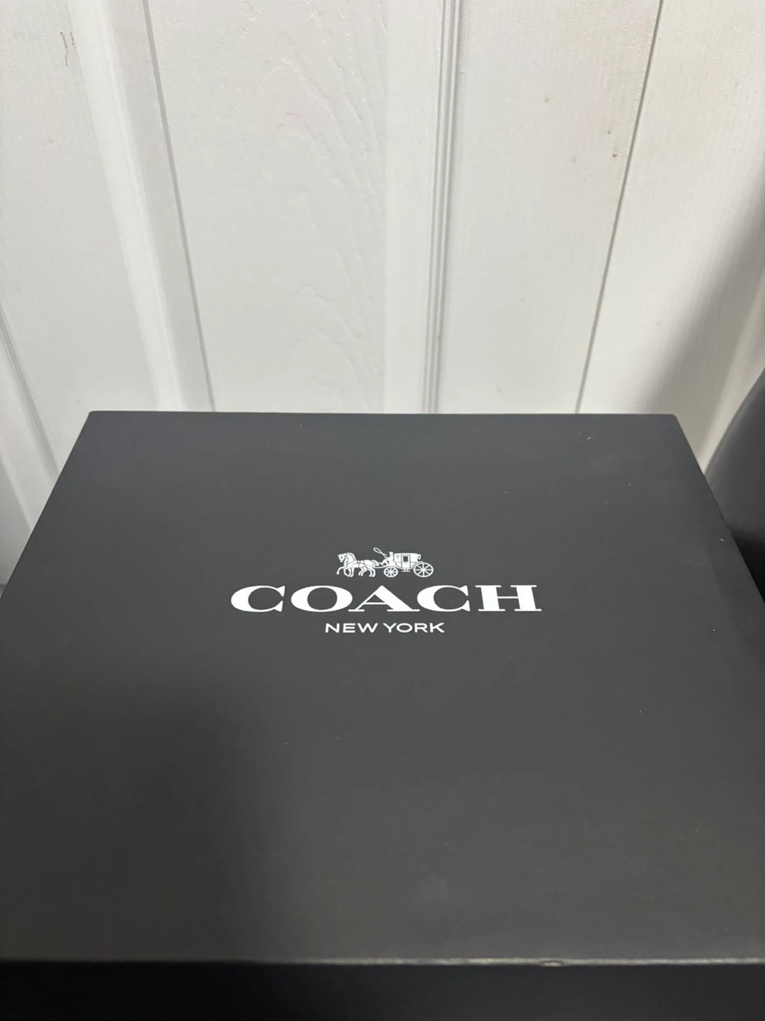 COACH Teri Shoulder Bag in Signature Canvas (Gold/White/Chalk)