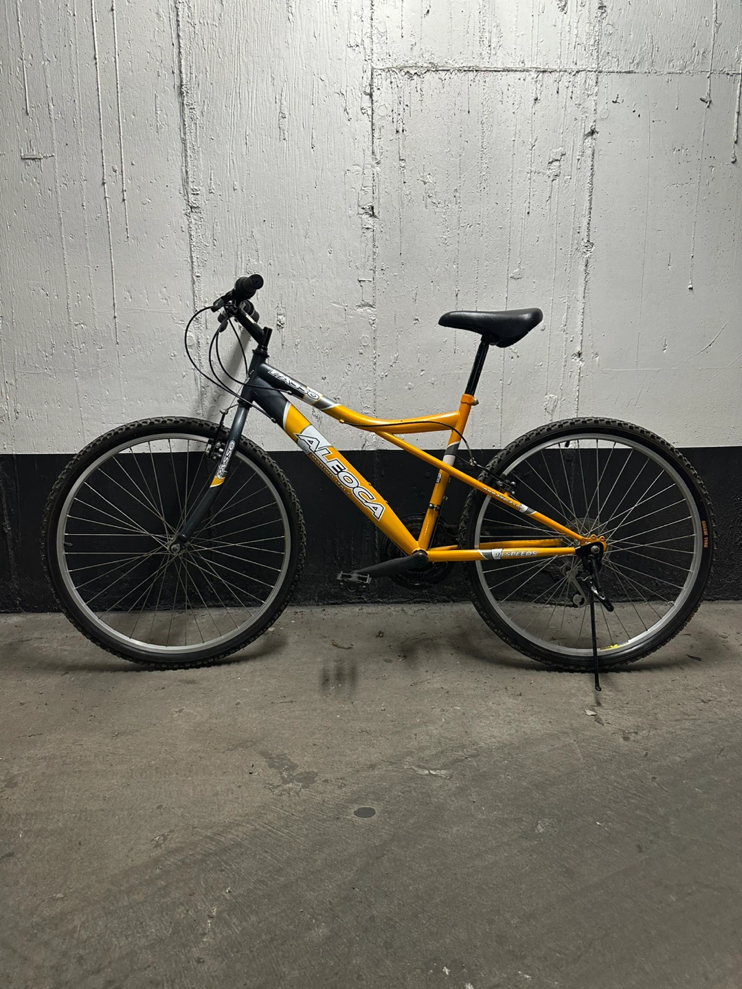 Aleoca Passo 18-Speed Mountain Bike