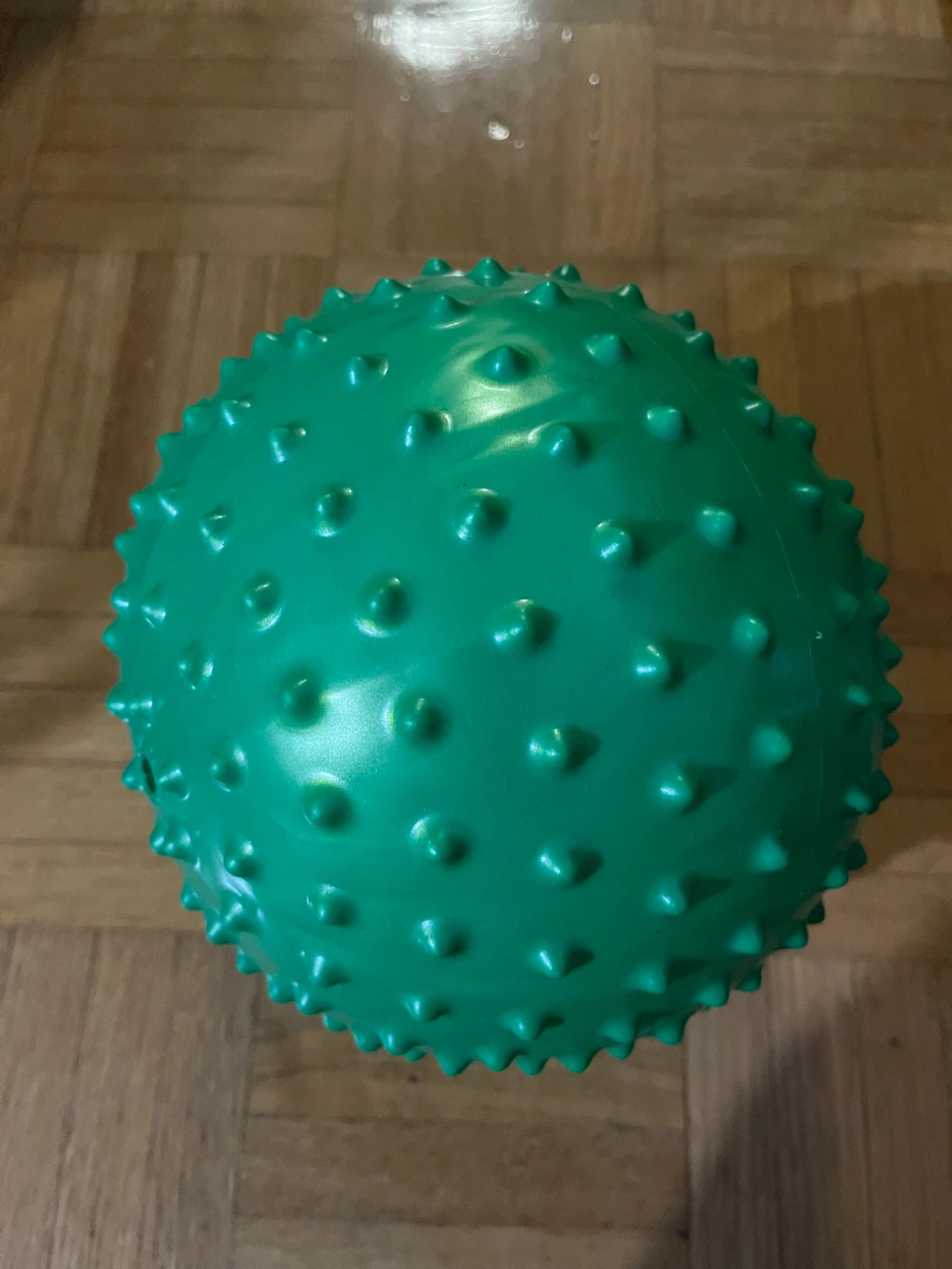 Green Sensory Spiky Soft Ball