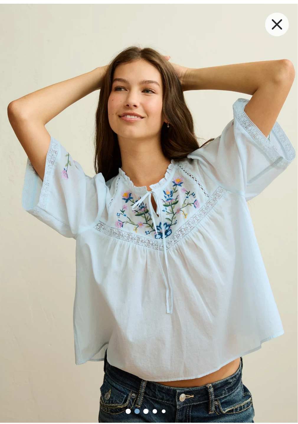 American Eagle Light Blue Embroidered Blouse
