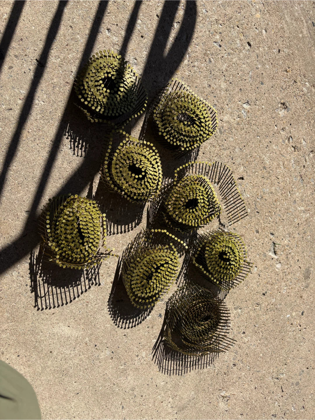 Coil Nails for Nail Gun