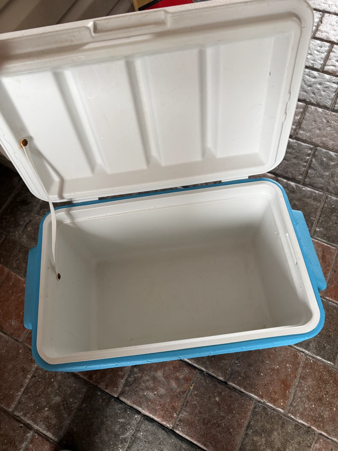 Vintage Coleman Polylite Cooler