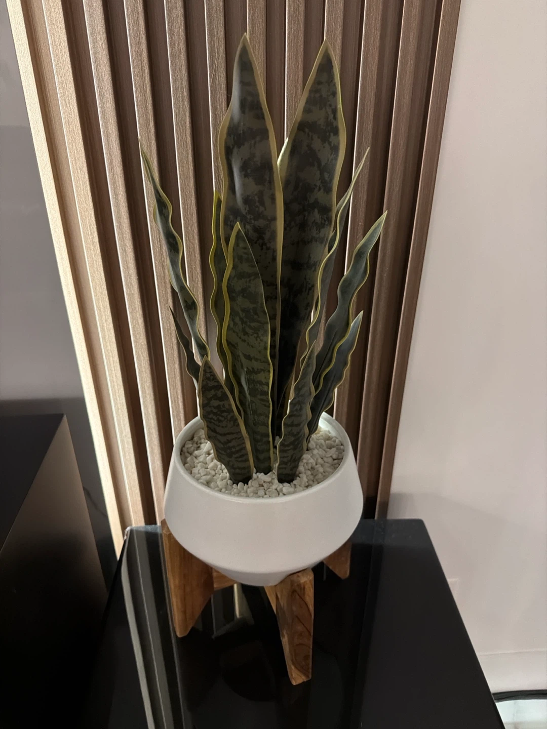 Artificial Snake Plant in Ceramic Pot