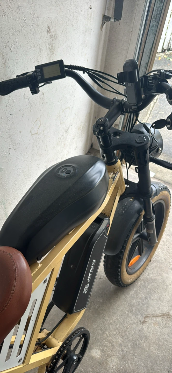 Jansno E-bike X70 (read des) - photo 4