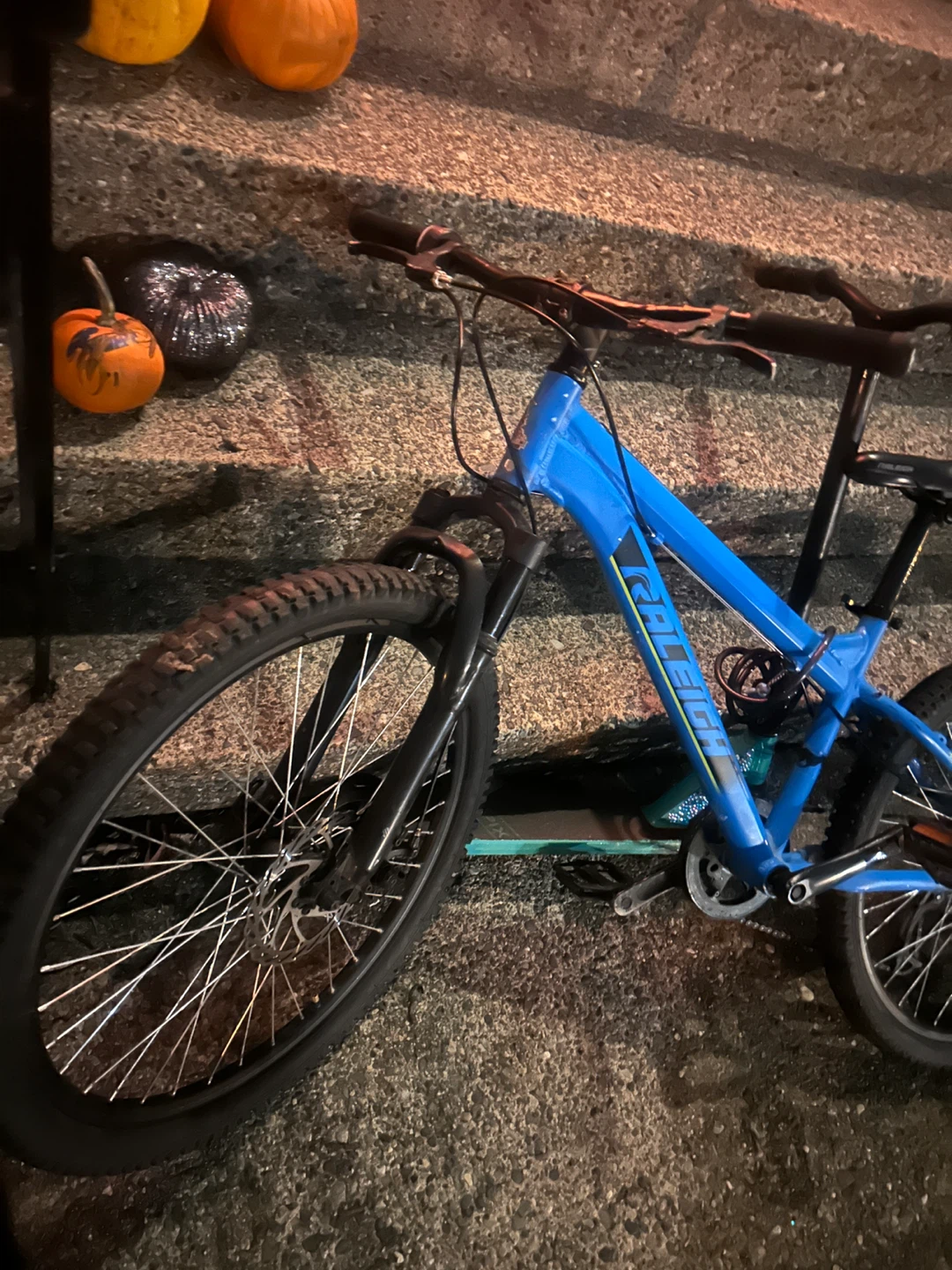Raleigh Mountain Bike Blue
