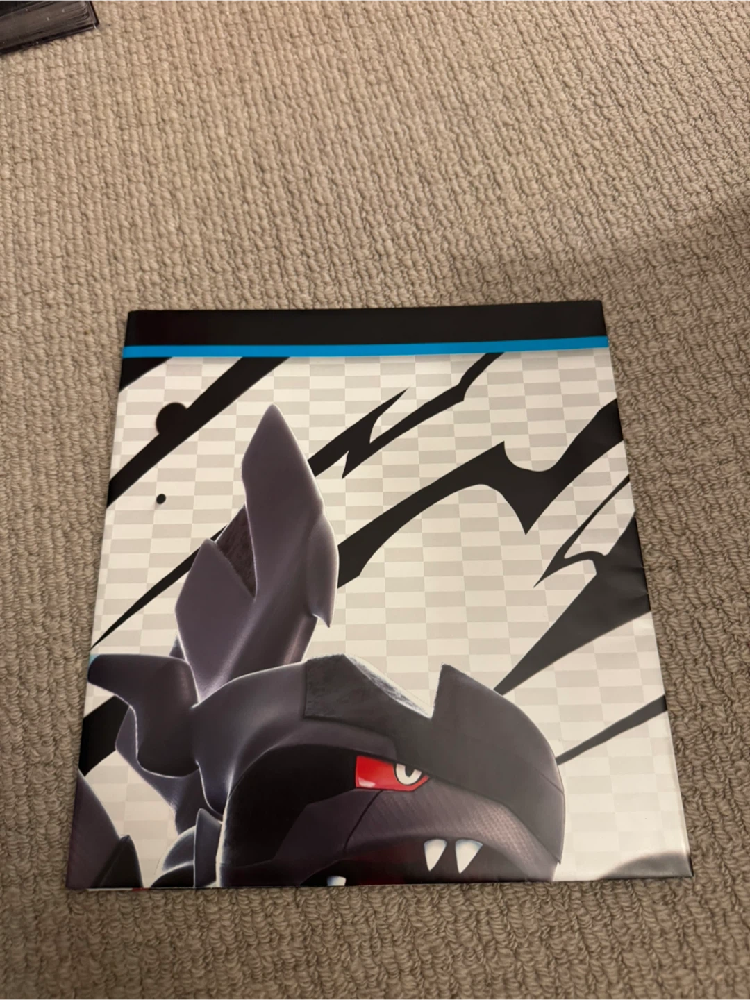 Pokemon Black bolt poster