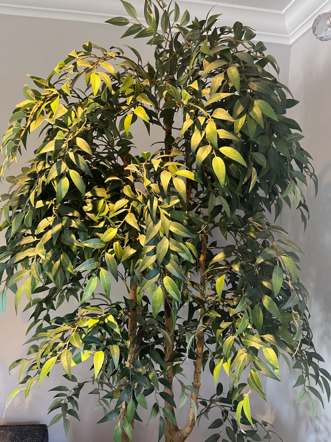 X-Tall high end, thick lush faux tree - photo 4