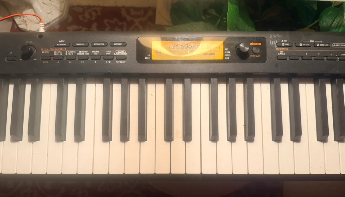 Casio CDP-S150 Digital Piano - photo 4