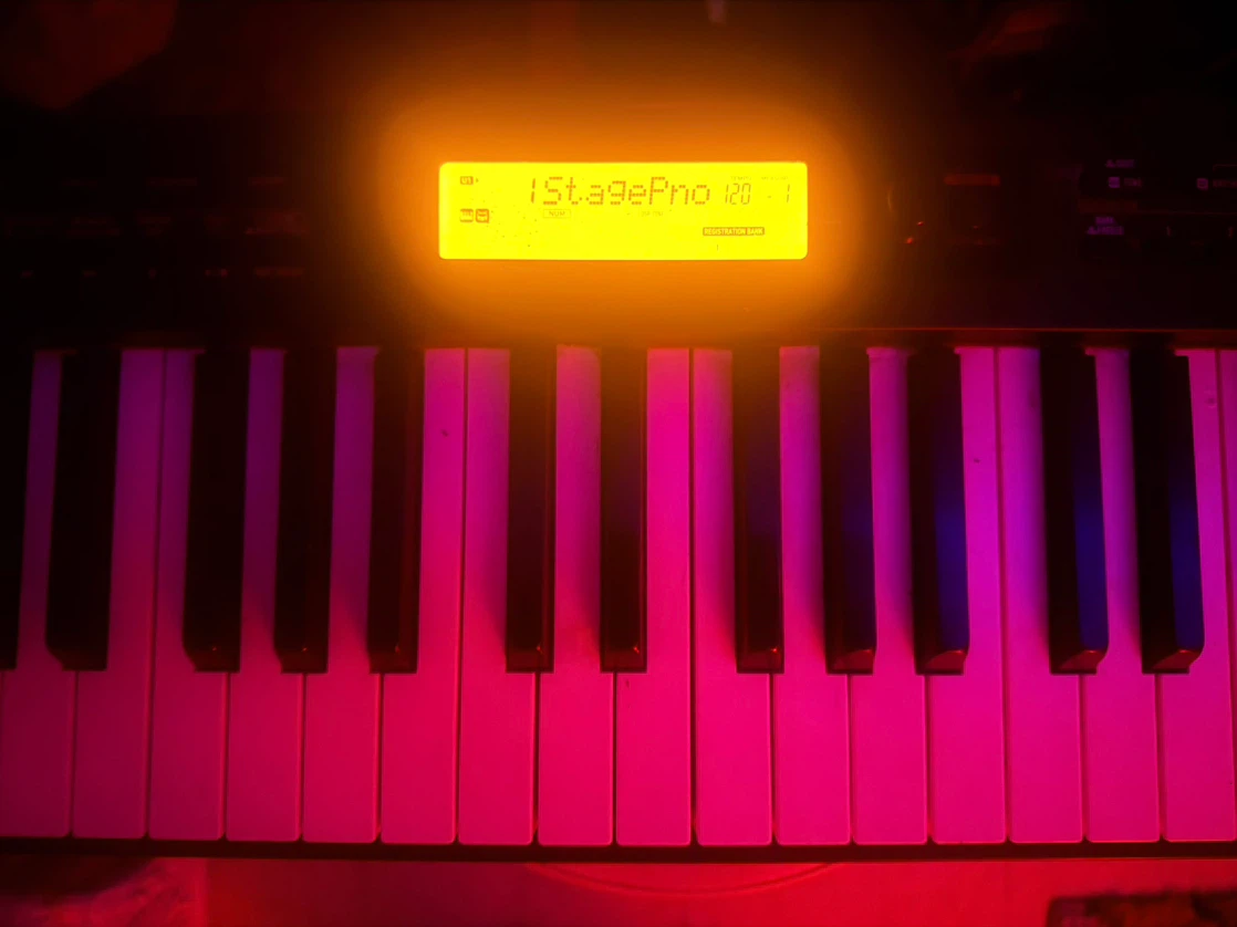 Casio CDP-S150 Digital Piano - photo 5