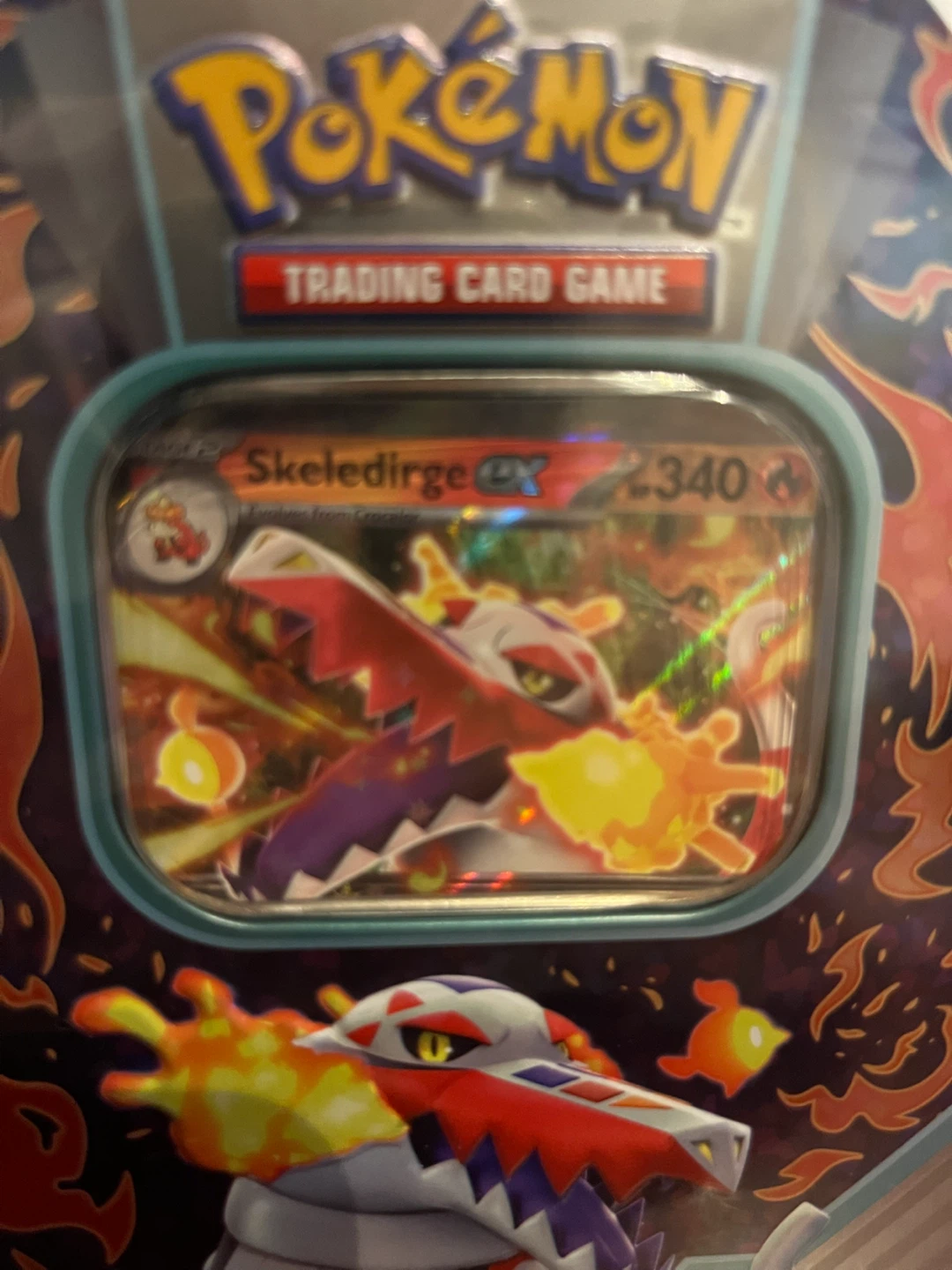 Pokémon EX Tin - photo 3