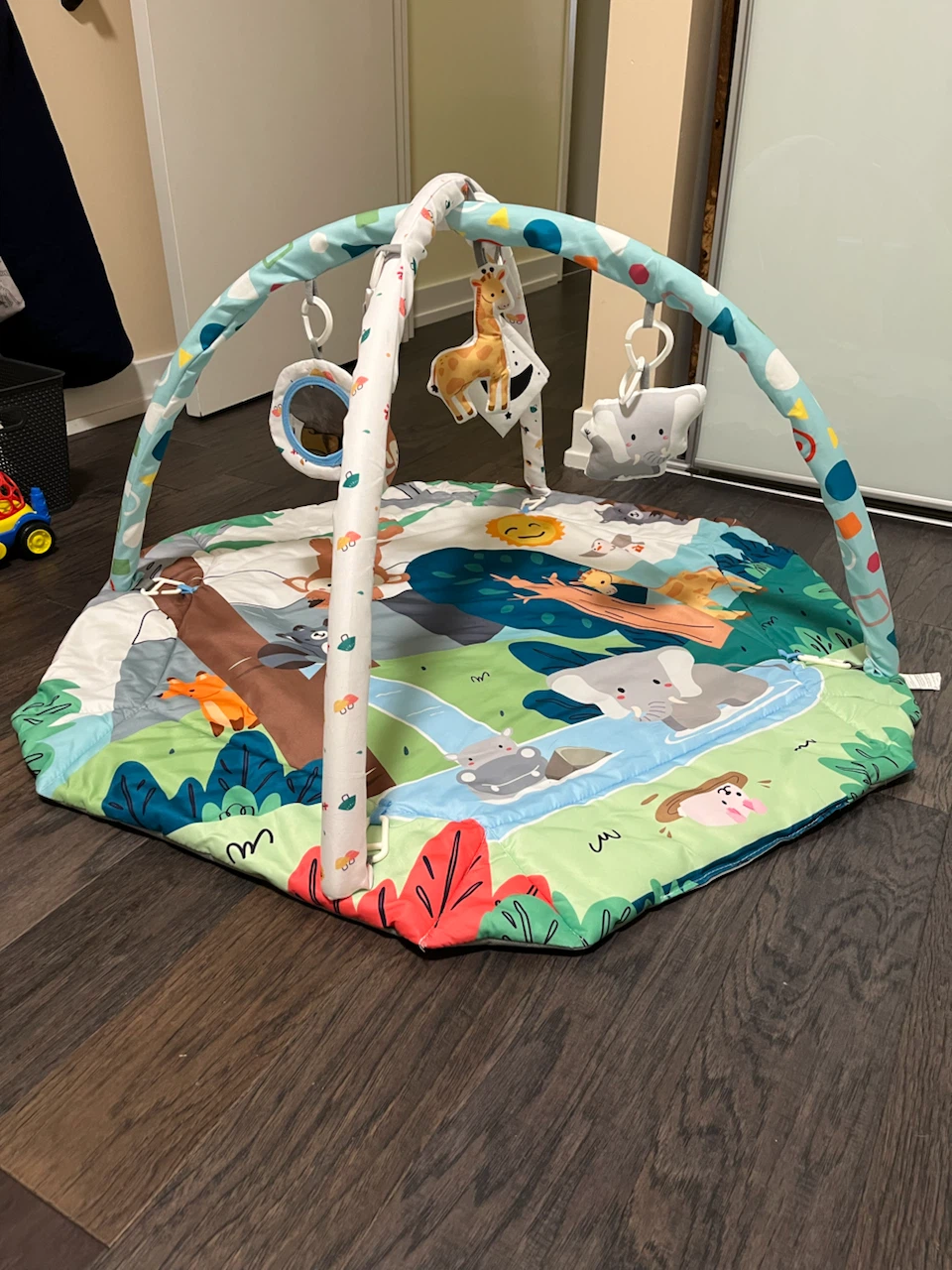 Baby Playmat