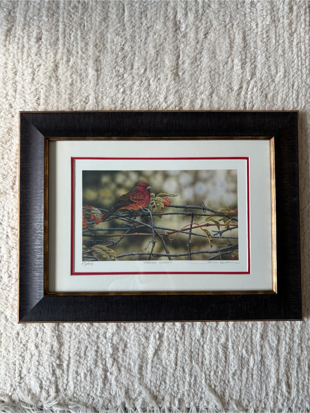 ORIGINAL ART for $30! Terrence Andrews Tangled Garden Print