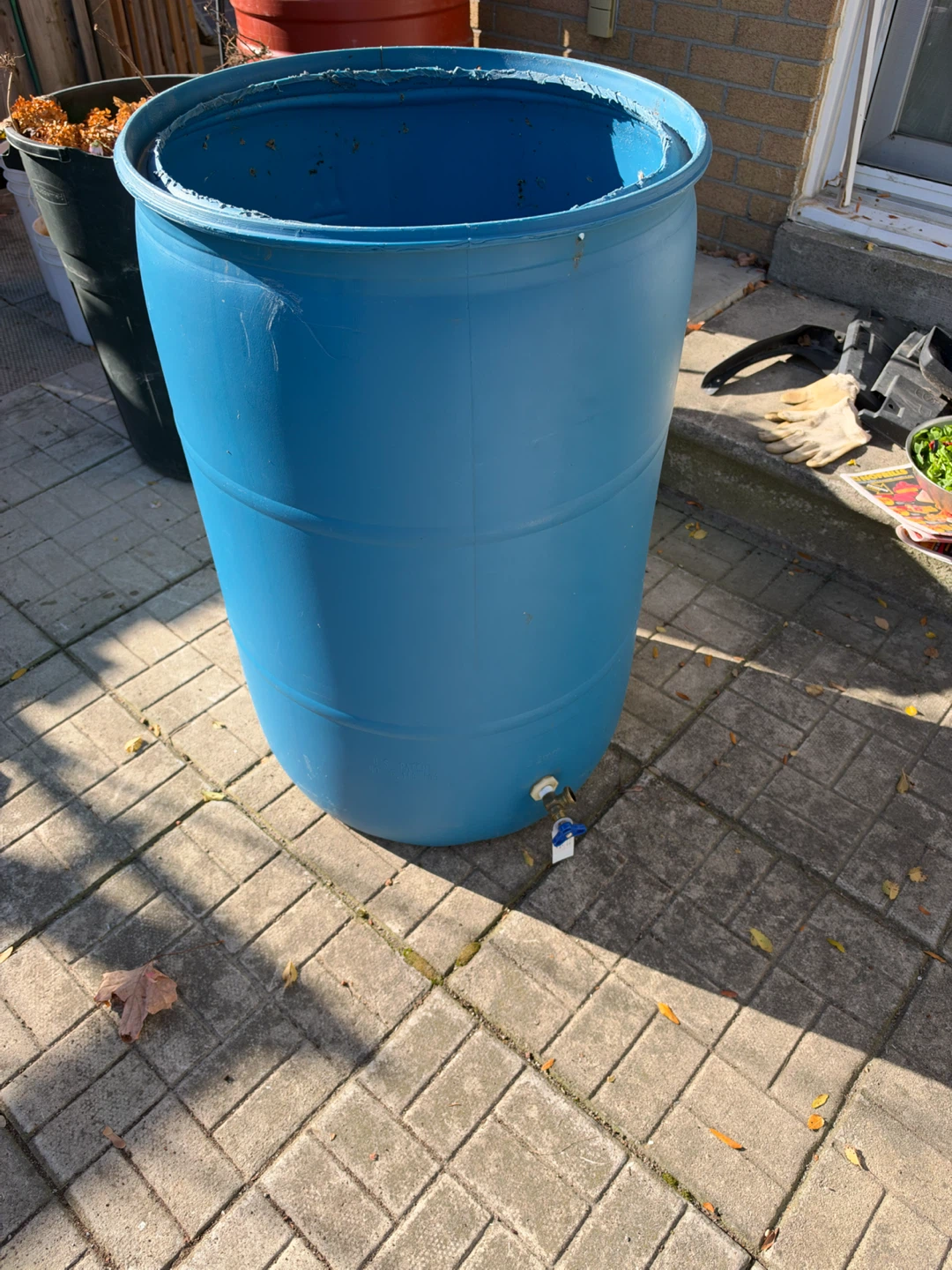 Blue Plastic Rain Barrel