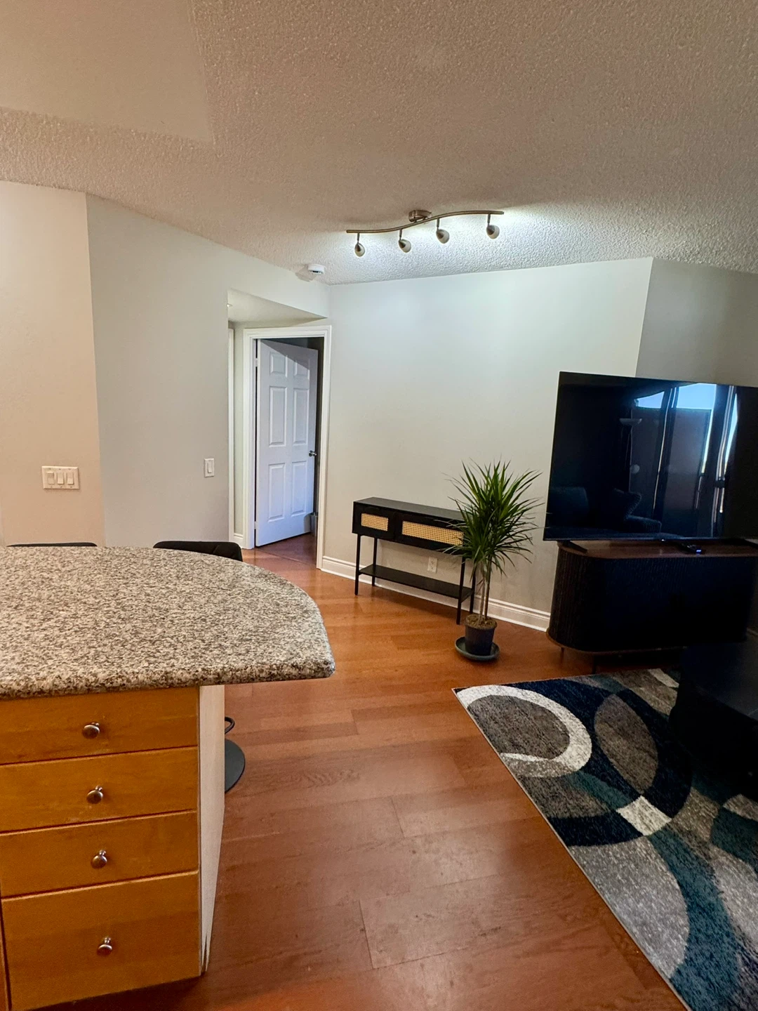 1+1 Bedroom Condo for Rent - photo 4