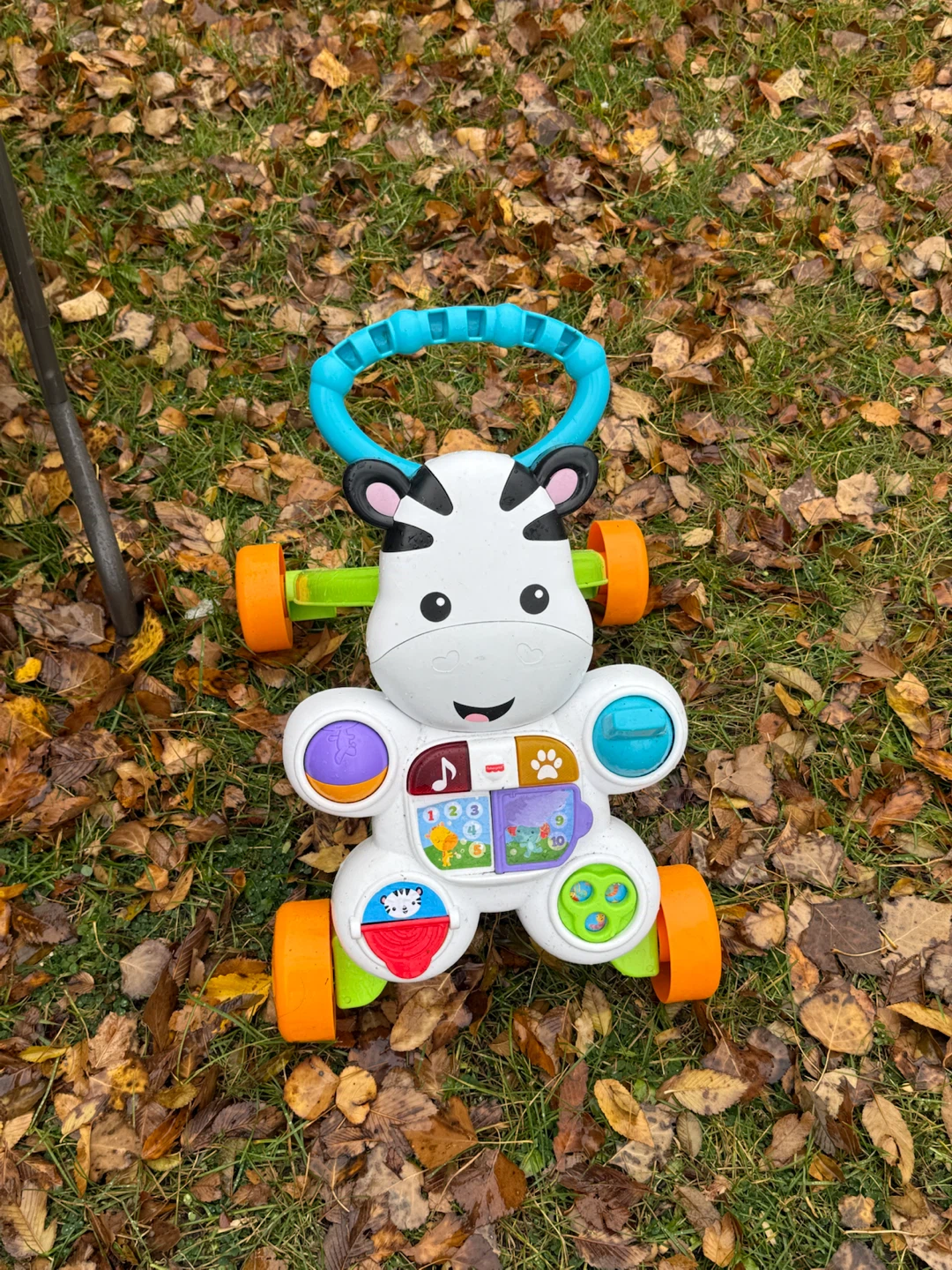 Fisher-Price Learn with Me Zebra Walker