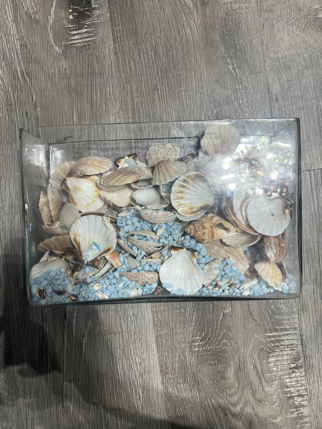Decorative Glass Container with Seashells