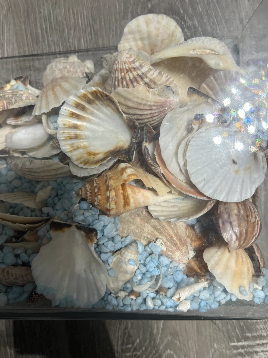 Decorative Glass Container with Seashells - photo 2