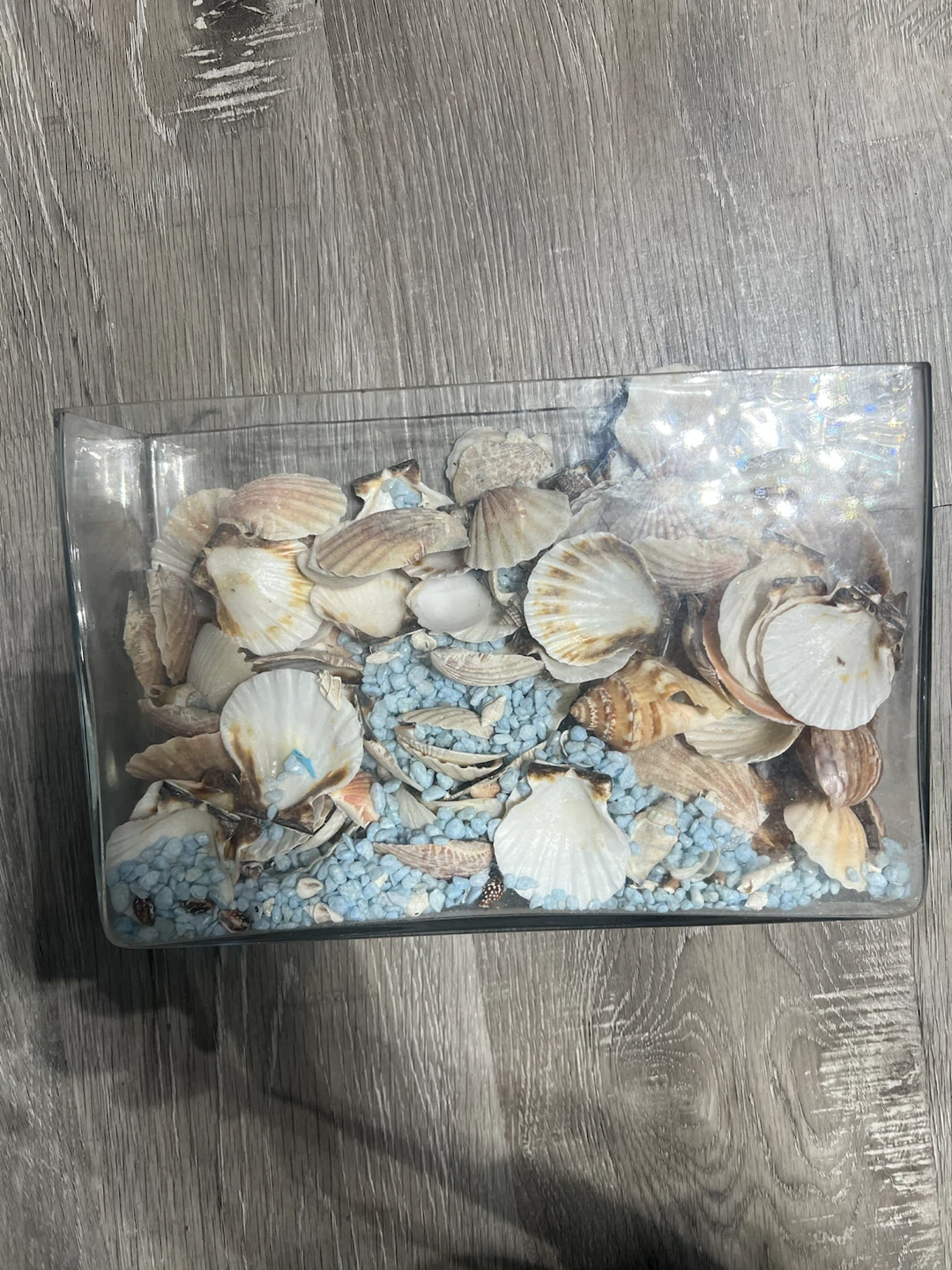 Decorative Glass Container with Seashells - photo 3