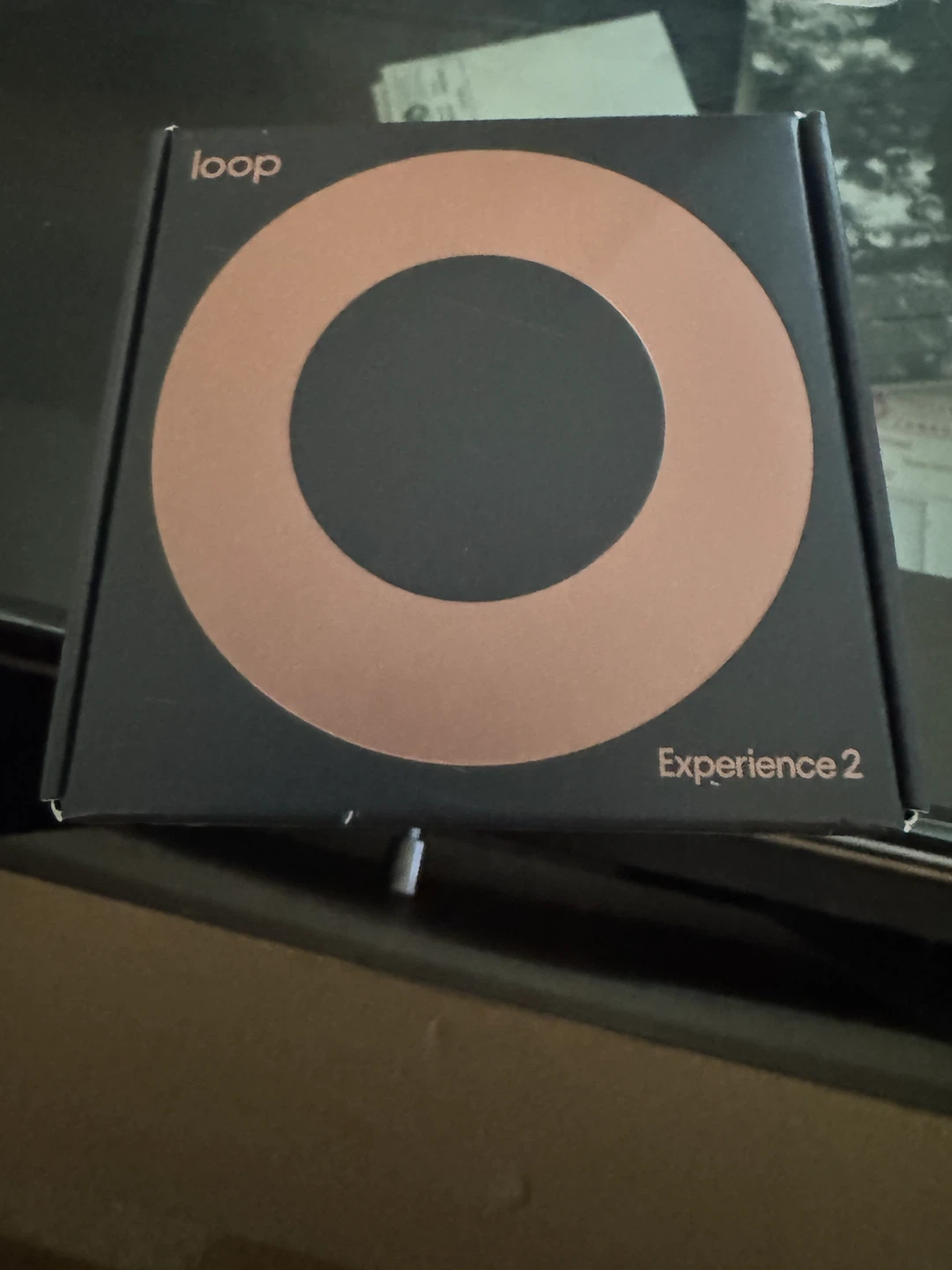 Loop Experience 2 Earplugs - Rose Gold