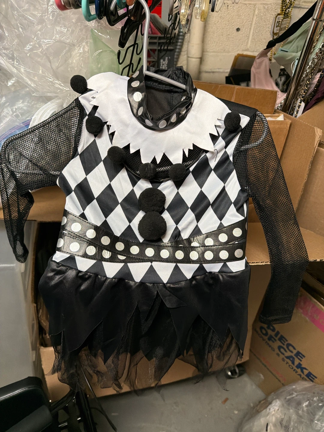 Black and White Harlequin Costume