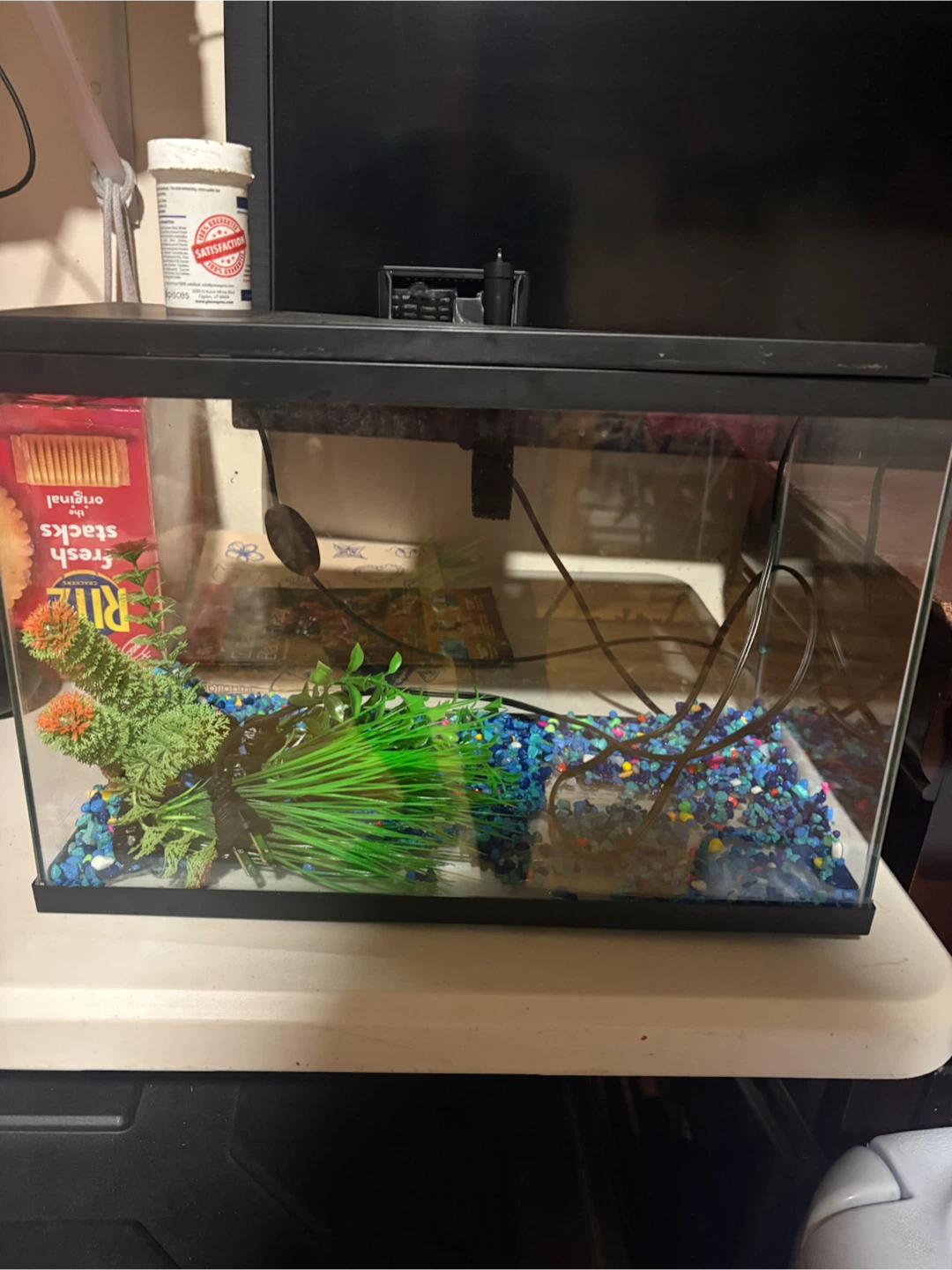 Glass Fish Aquarium Tank