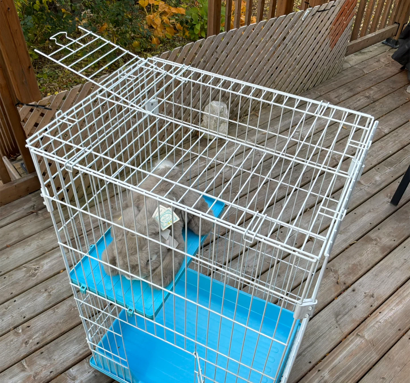 Collapsible Wire Small Animal Cage / Play Pen