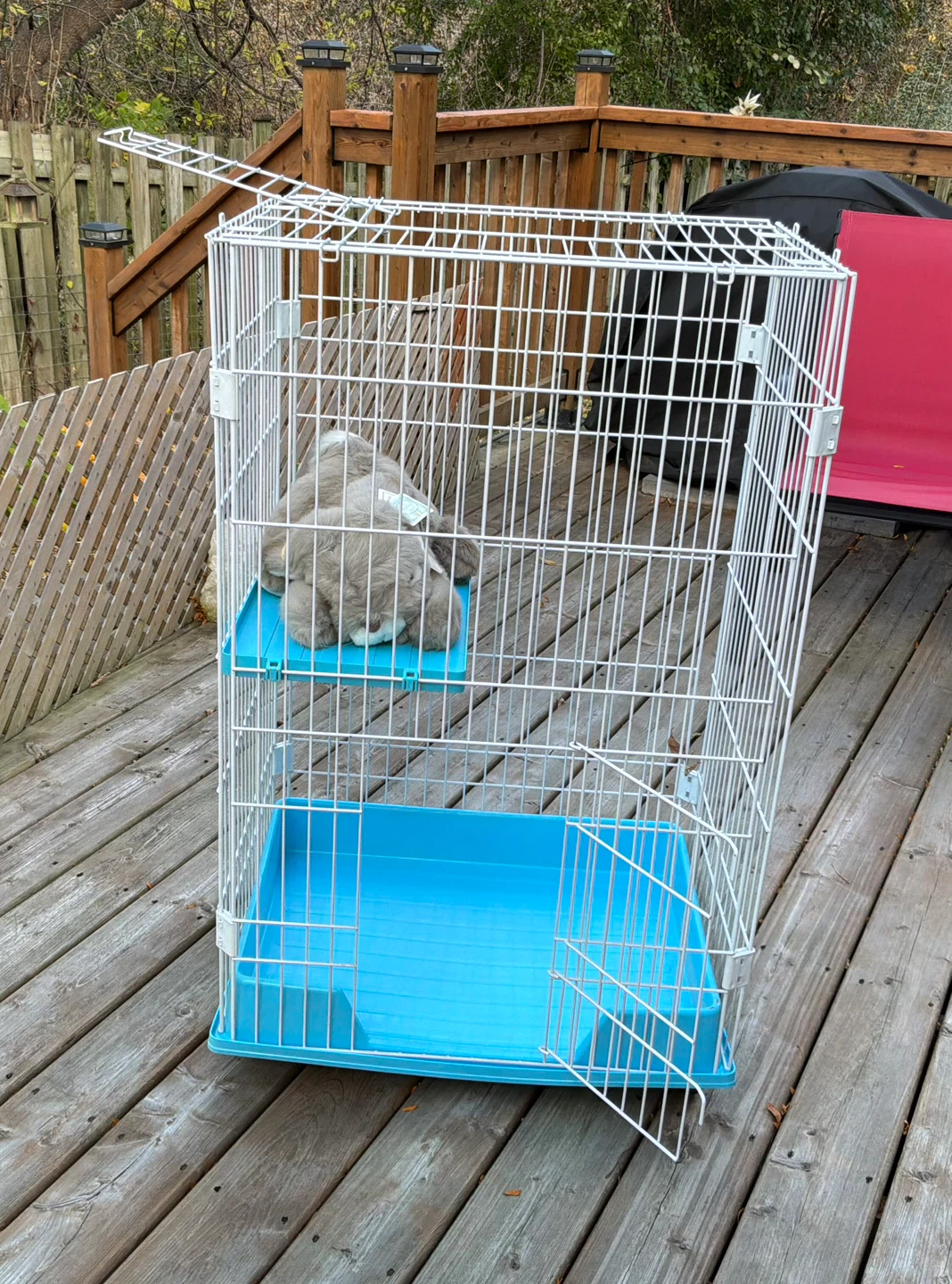 Collapsible Wire Small Animal Cage / Play Pen - photo 3