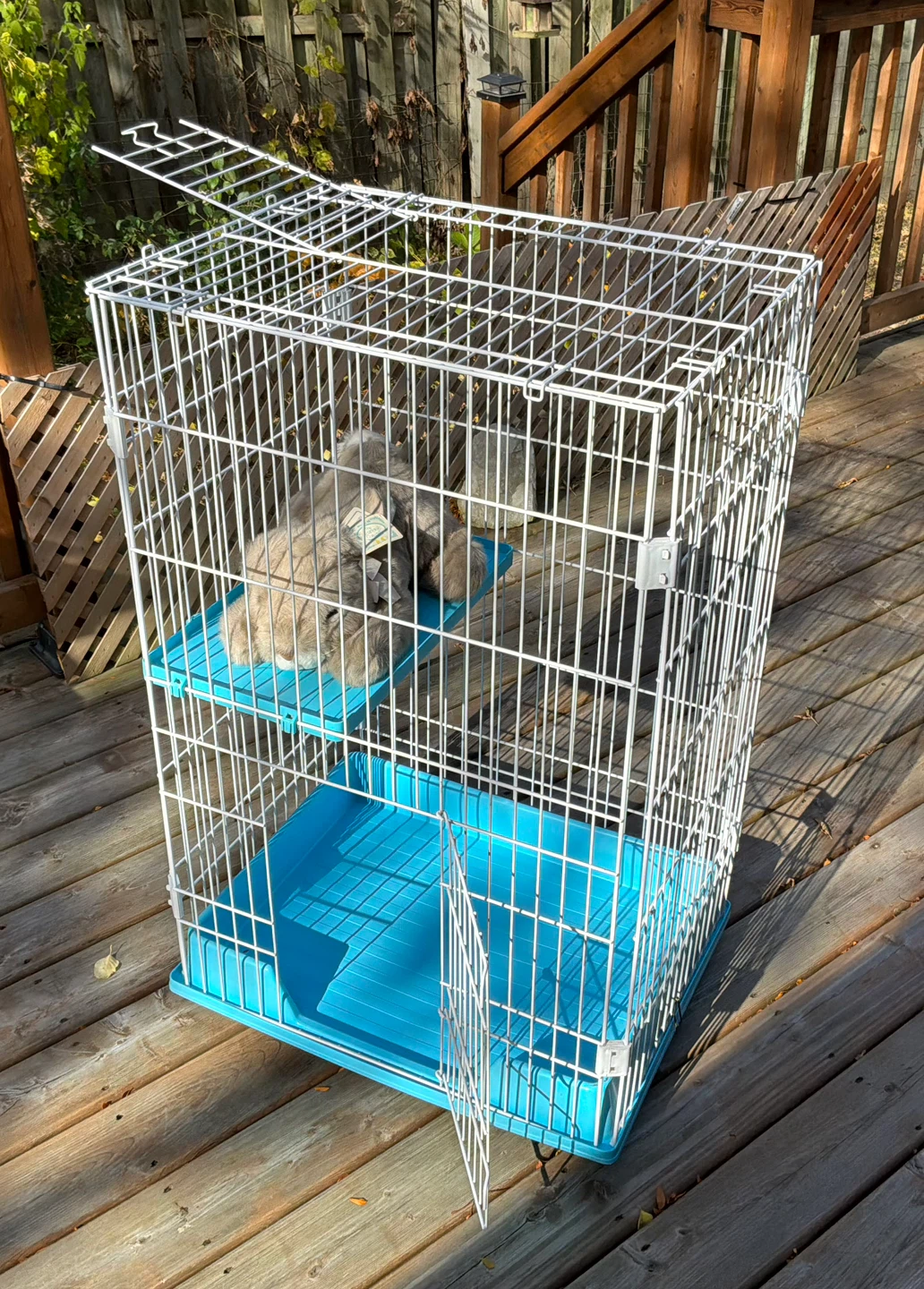 Collapsible Wire Small Animal Cage / Play Pen - photo 4