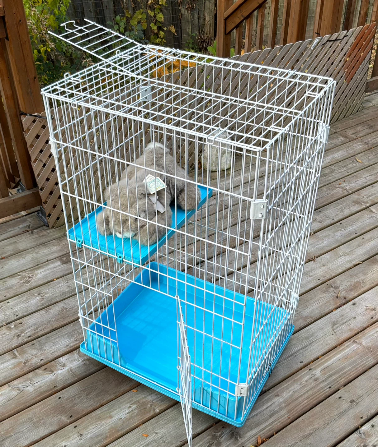 Collapsible Wire Small Animal Cage / Play Pen - photo 5