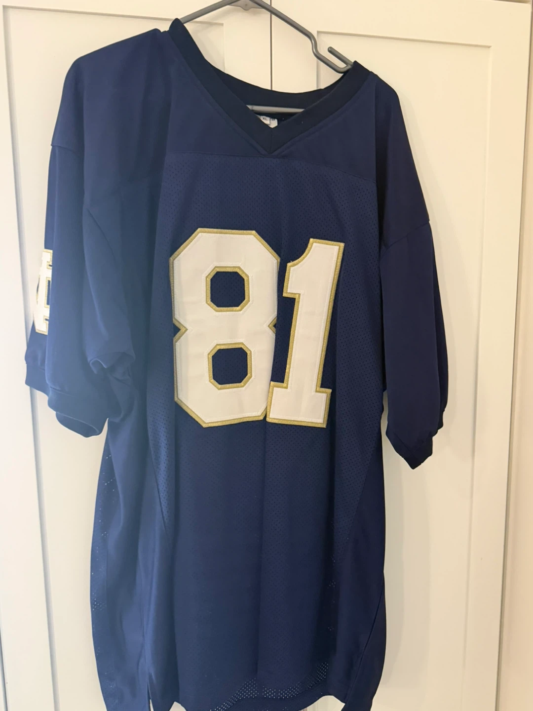Tim Brown Signed Notre Dame Fighting Irish Career Stat Jersey - photo 4
