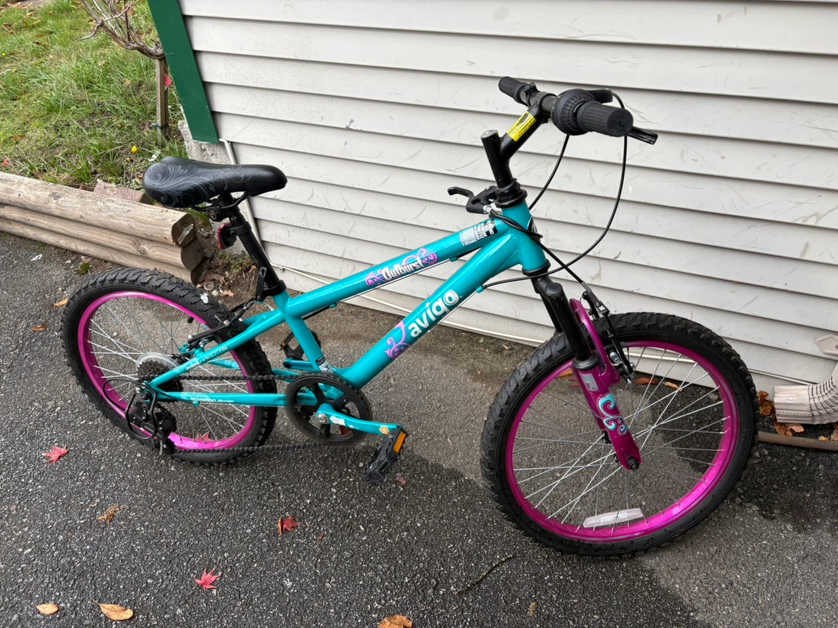 Avigo Outburst 20-inch Bicycle