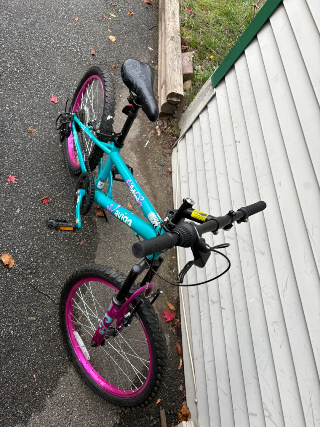 Avigo Outburst 20-inch Bicycle - photo 2