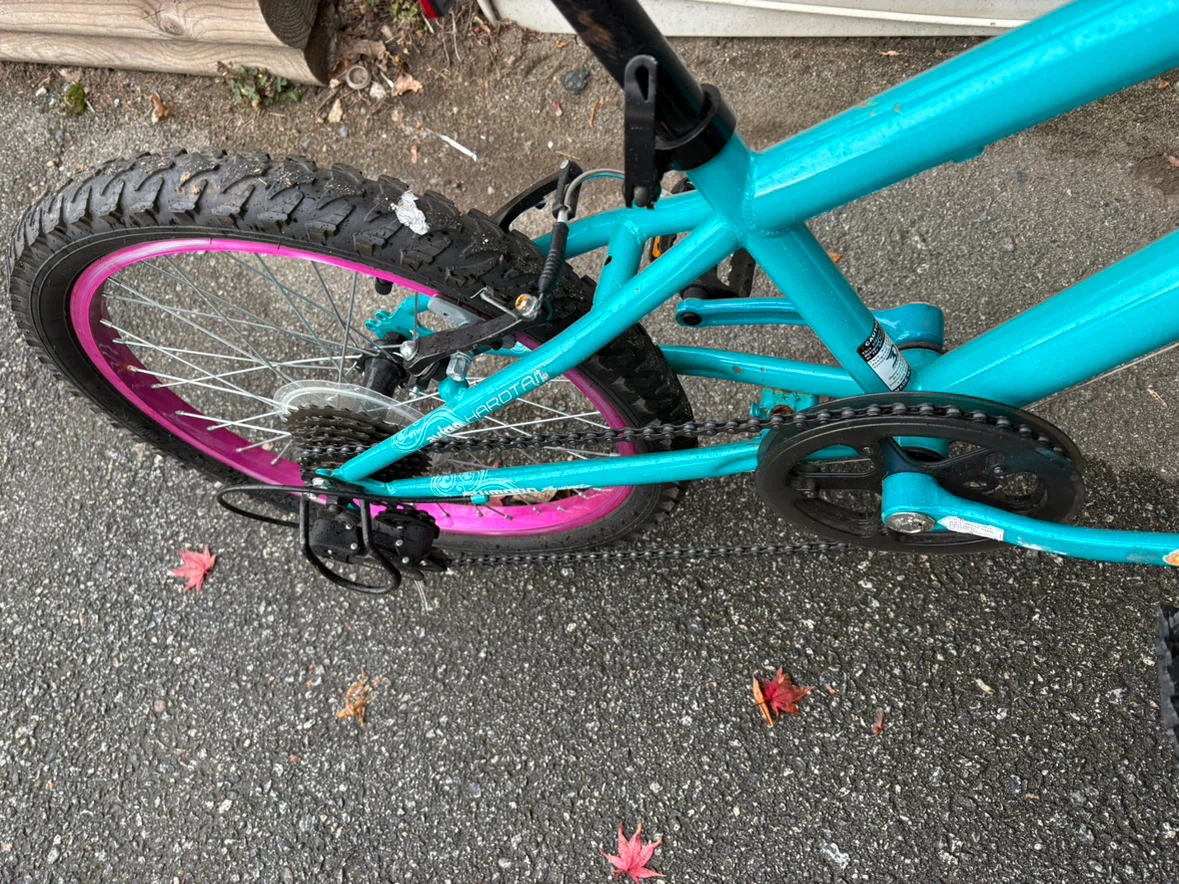 Avigo Outburst 20-inch Bicycle - photo 4