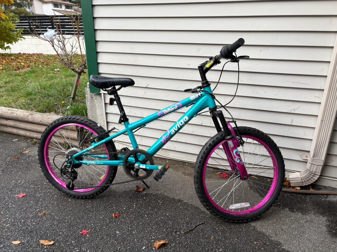 Avigo Outburst 20-inch Bicycle - photo 5