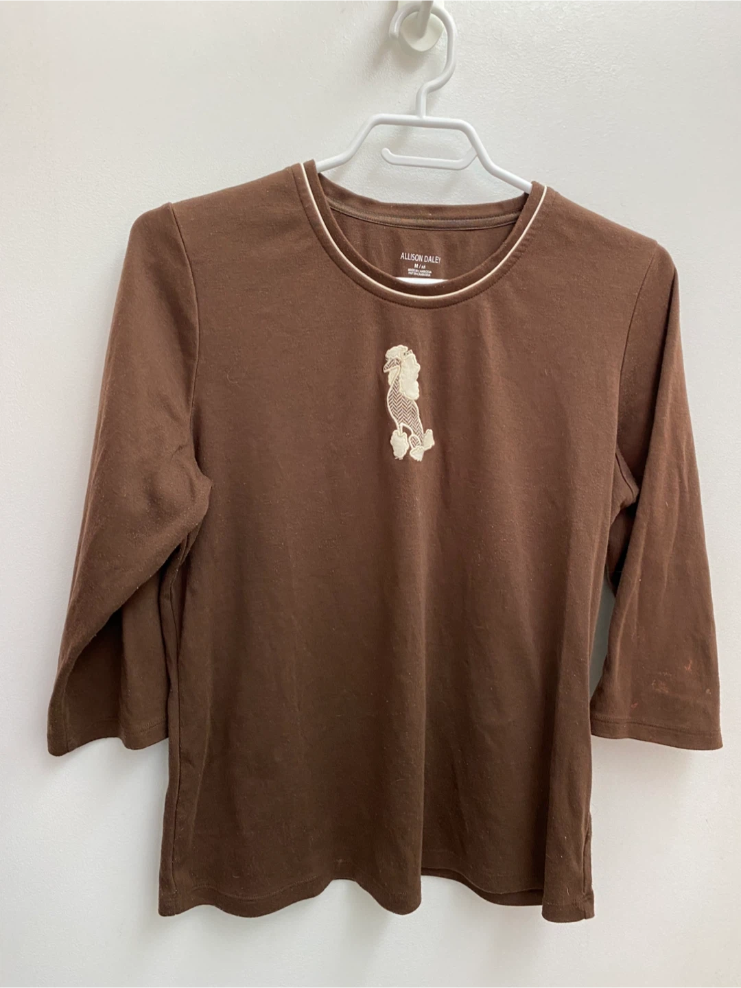 Ladies top (M)