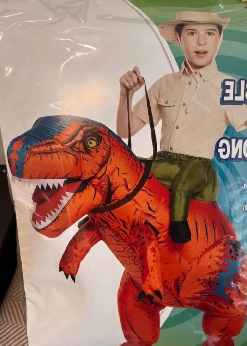 Kids Inflatable Dinosaur Rider Costume