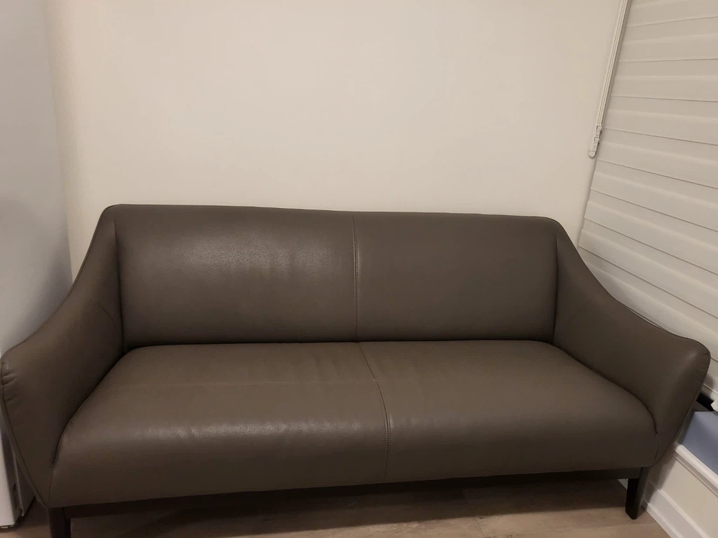 Structube Leather Sofa