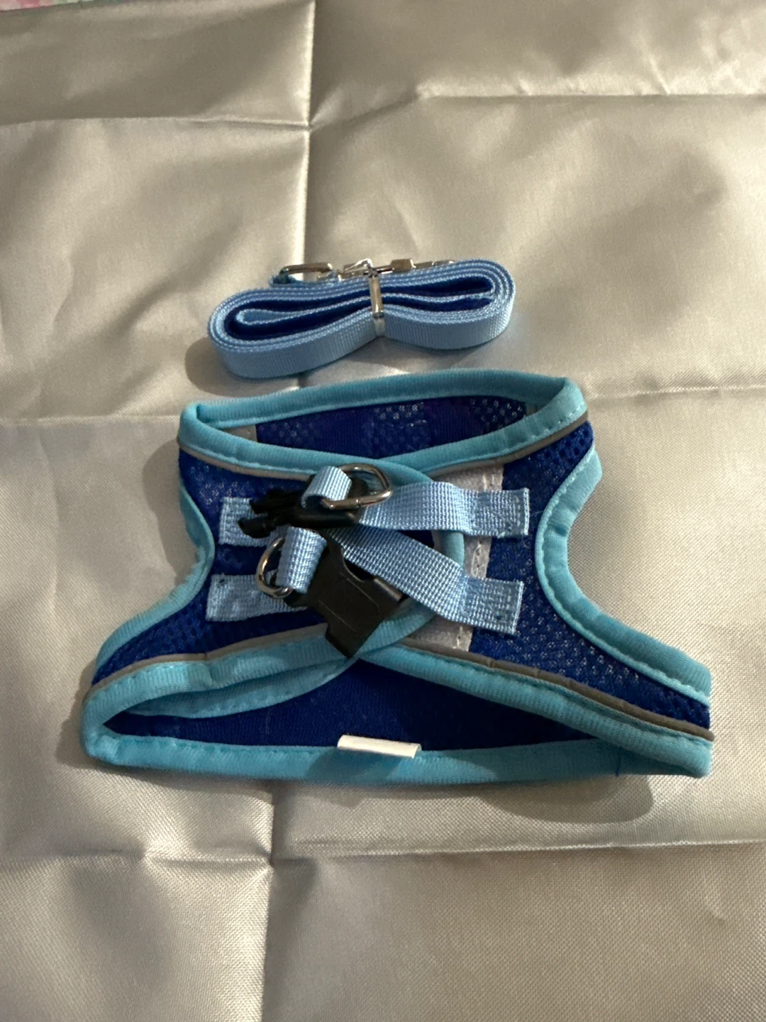 Blue mesh pet harness with matching leash
