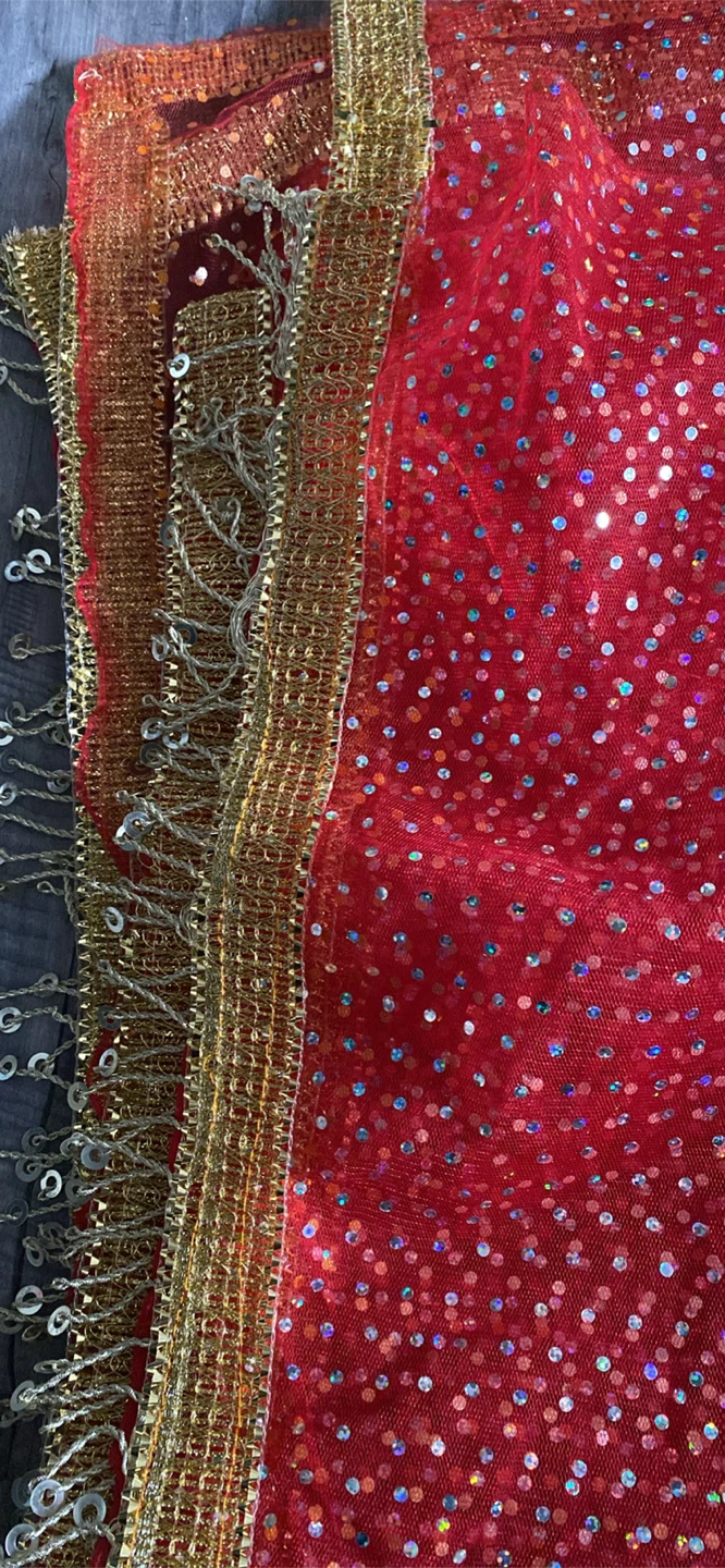 Red Net Dupatta with Gold Sequins 66 x 42 in - photo 2