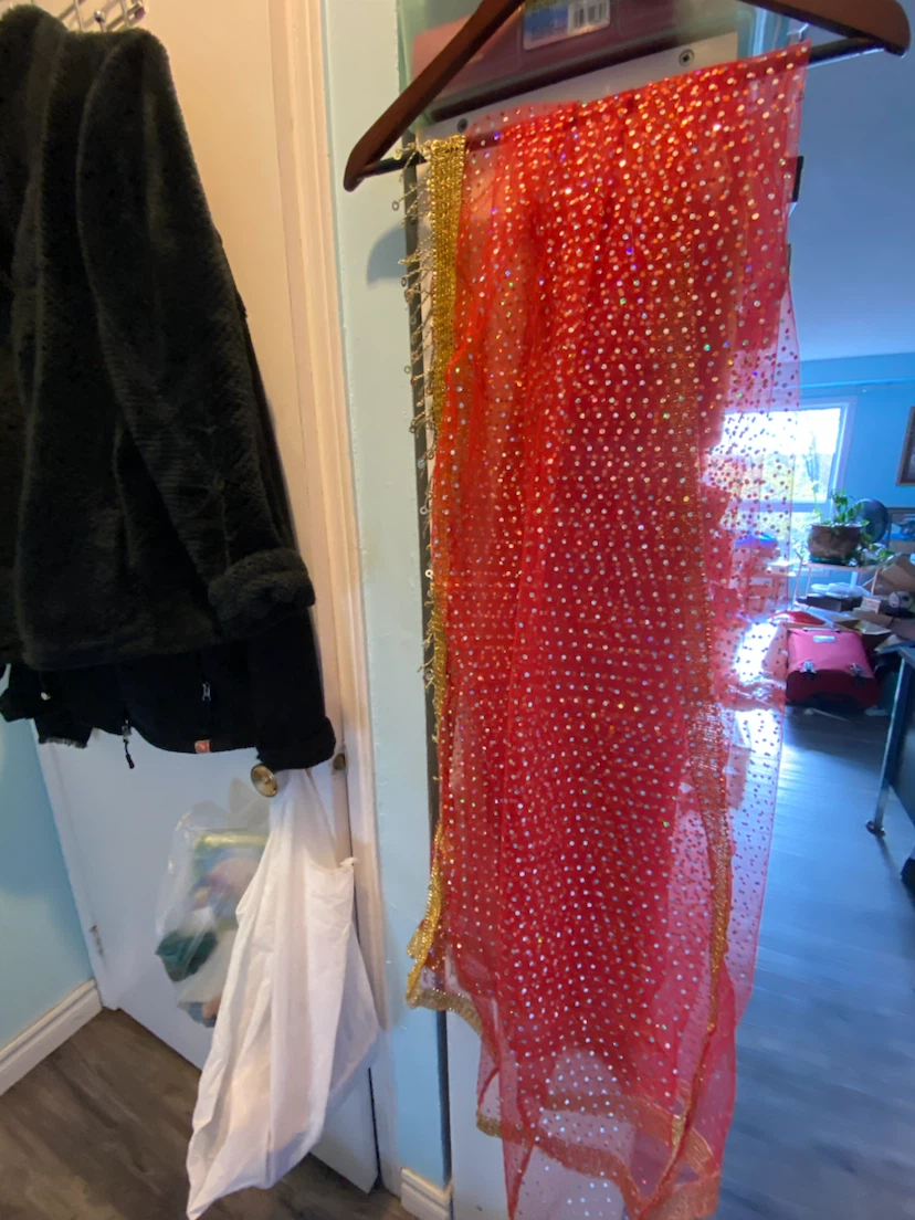 Red Net Dupatta with Gold Sequins 66 x 42 in - photo 5