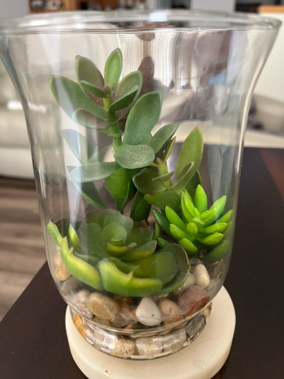 Artificial Succulent Terrarium
