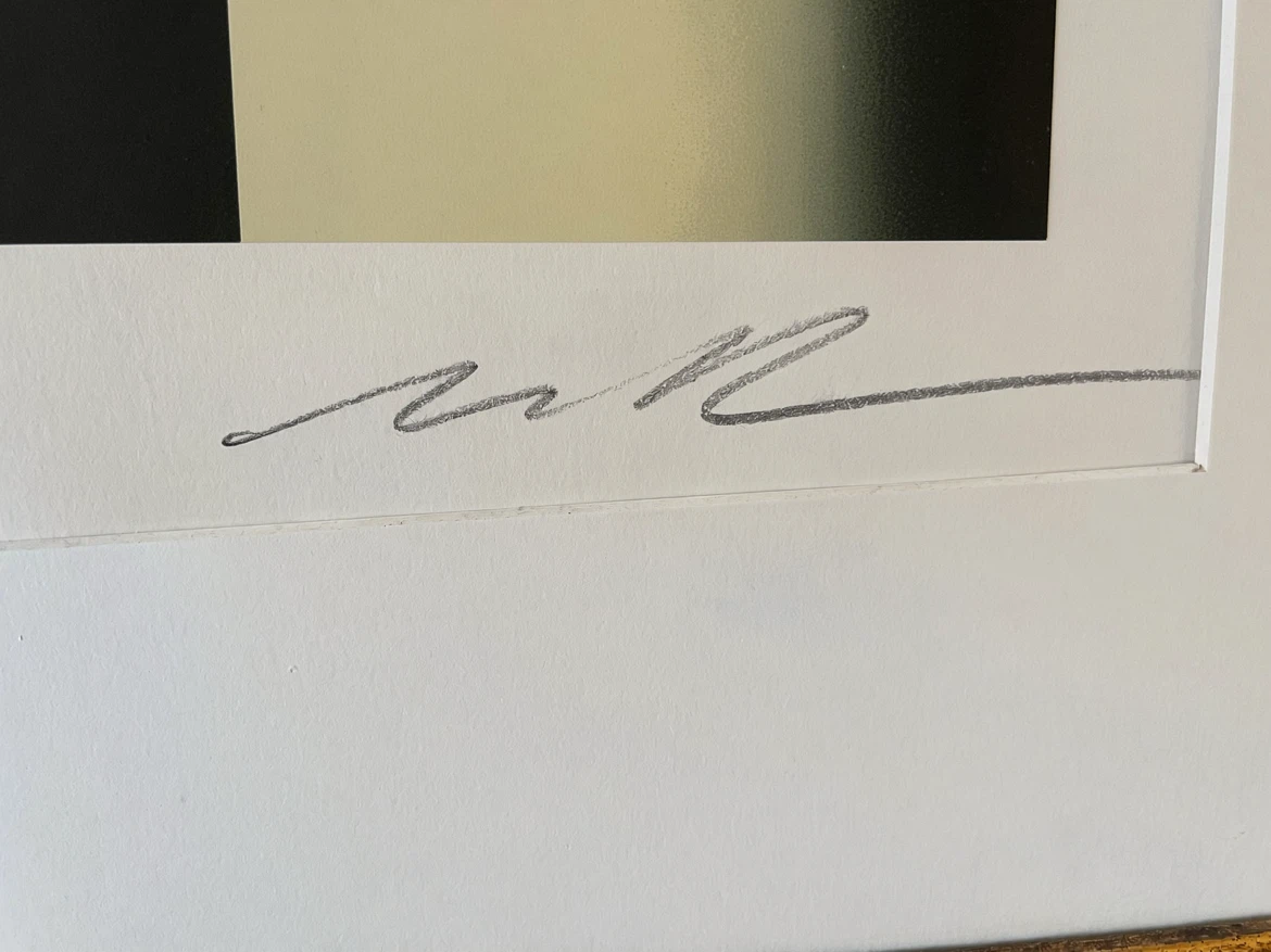 Framed Limited Edition Moser silkscreen, signed and numbered - photo 5