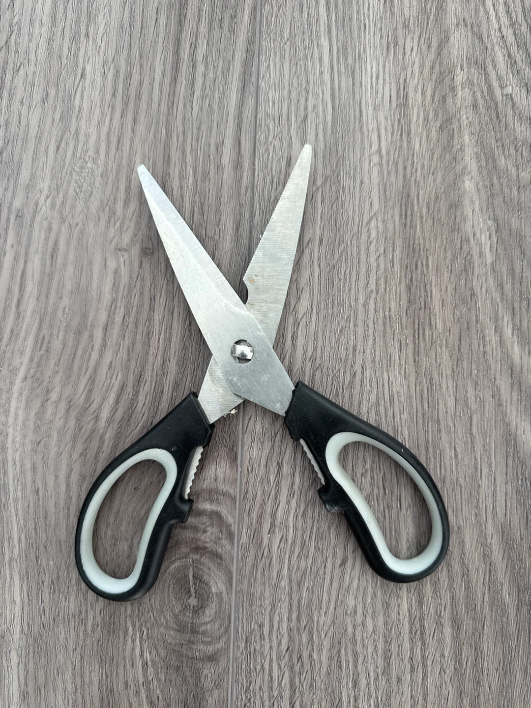 Livingo Stainless Steel Kitchen Scissors