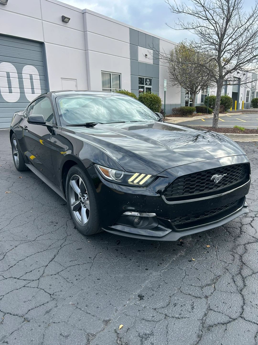 2016 Ford Mustang Manual transmission - photo 4