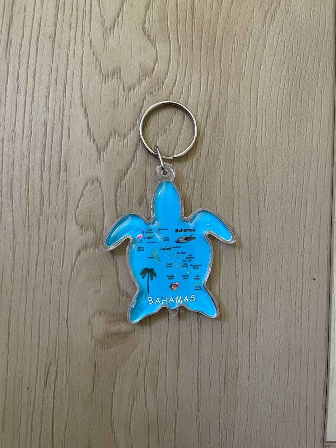 Bahamas Turtle Keychain